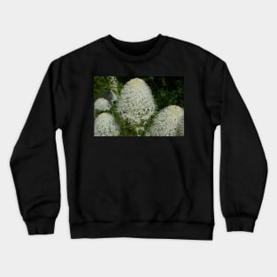 Blooming Bear Grass Crewneck Sweatshirt